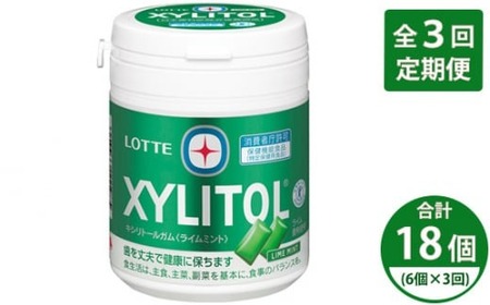 【定期便全3回】2ヶ月に1回お届け！ ロッテ キシリトールガム ライムボトル 6個 | ロッテ ガム定期便
