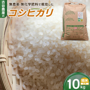 【令和7年産米 数量限定】古谷農産の無農薬・無化学肥料で栽培したコシヒカリ（精米10キロ） ｜米 コメ  白米 10kg コシヒカリ こしひかり 農家直送 産地直送 産直