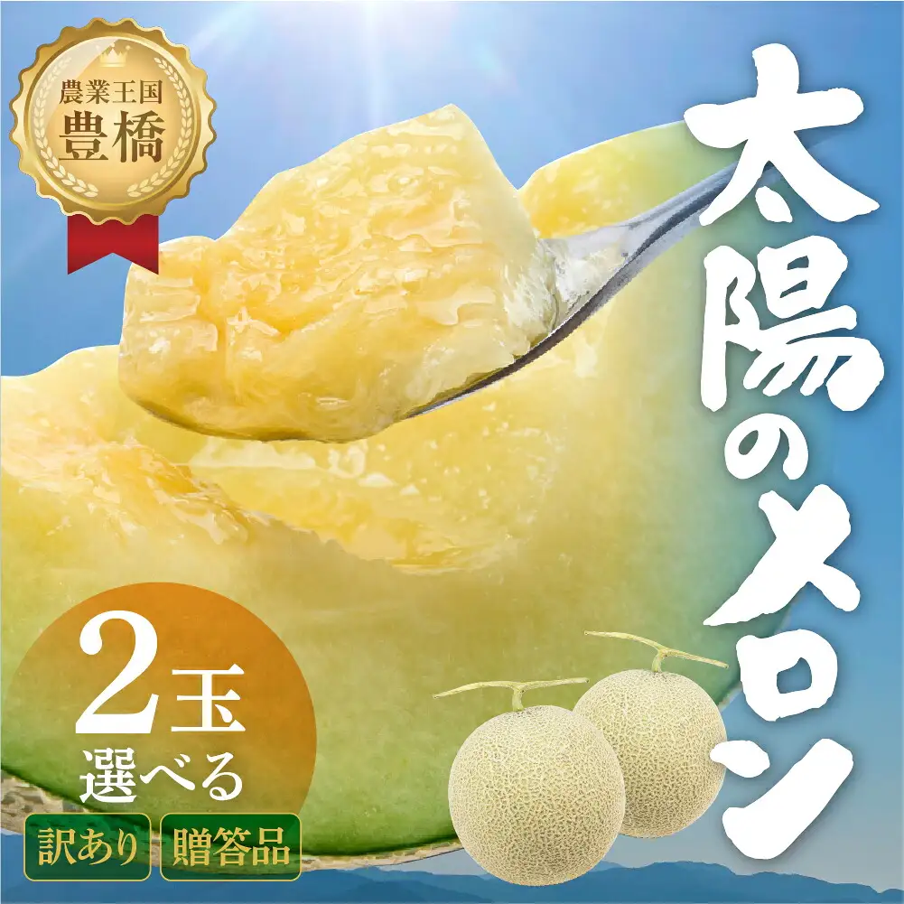 温室マスクメロン 2玉 訳あり 豊橋 メロン