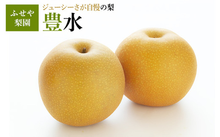豊水 5kg 【ふせや梨園】| 農家直送 梨 ナシ 果物 フルーツ 宇都宮市 栃木県 ※2026年9月～発送