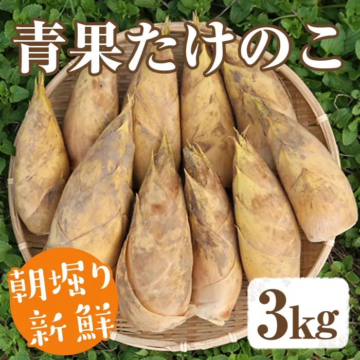 ＜先行予約受付中！2027年2月下旬以降順次発送予定＞ 【土日祝着】朝堀り青果たけのこ(約3kg) 国産 新鮮 タケノコ 青果 竹の子 筍 野菜 春 旬 期間限定 数量限定 【上野食品】akn008-19-B