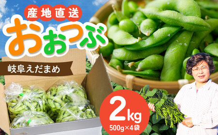 【毎年6月?8月の発送】 岐阜市特産 枝豆2kg 1袋500g×４袋 ビールやお酒のおつまみに 【配送不可地域：北海道・沖縄・離島】 料理 新鮮 採れたて 大粒 夏 あて 岐阜市 / 栗本農園