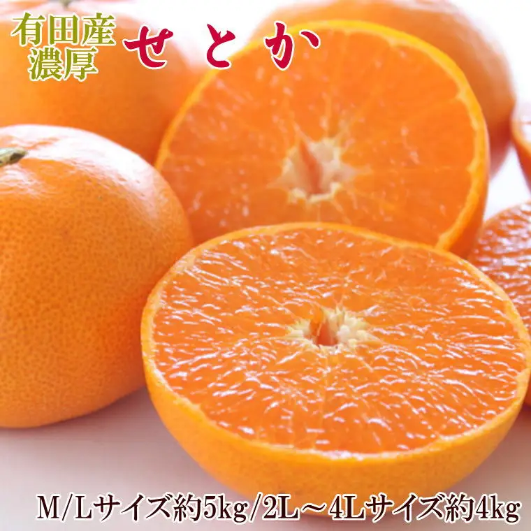 一度は食べていただきたい「有田産のせとか」約4～5kg（サイズおまかせ）※2027年2月中旬～2027年3月上旬頃に順次発送【tecj1024】