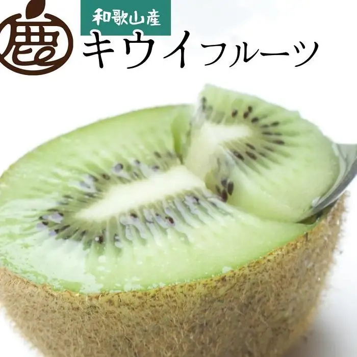 ［先行予約］家庭用 キウイ5kg+250g（傷み補償分）【わけあり・訳あり・扁平果】［IKE104］