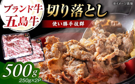 五島牛 切り落とし 500g（250g×2p） 五島市/五島牛 肉のむらおか[PGP005]
