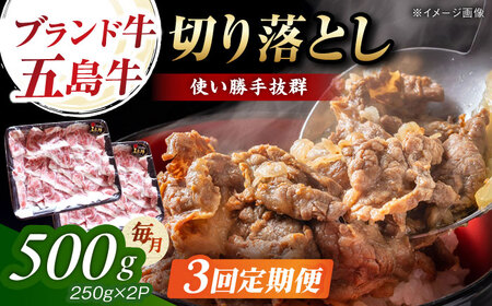 【3回定期便】五島牛 切り落とし 500g（250g×2p） 五島市/五島牛 肉のむらおか[PGP006]