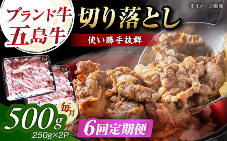 【6回定期便】五島牛 切り落とし 500g（250g×2p） 五島市/五島牛 肉のむらおか[PGP007]