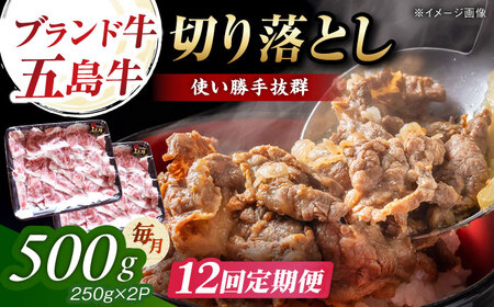 【12回定期便】五島牛 切り落とし 500g（250g×2p） 五島市/五島牛 肉のむらおか[PGP008]