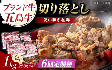 【6回定期便】五島牛 切り落とし 1kg 五島市/五島牛 肉のむらおか[PGP011]