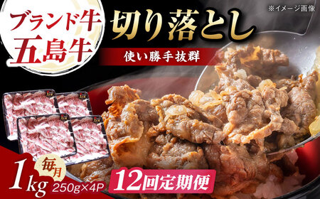【12回定期便】五島牛 切り落とし 1kg 五島市/五島牛 肉のむらおか[PGP012]