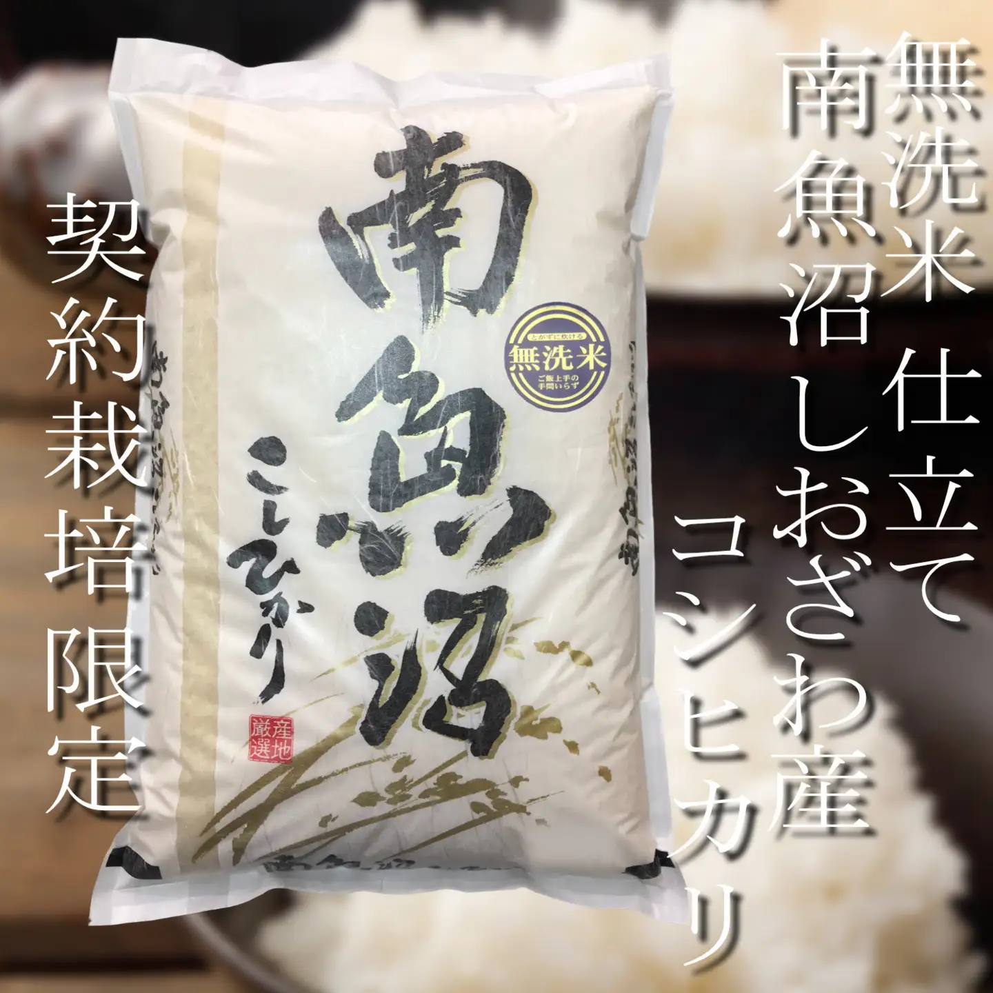 【令和7年 無洗米5Kg】南魚沼しおざわ産コシヒカリ｜コシヒカリ