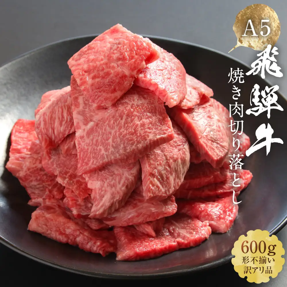 【訳あり】A5 飛騨牛 焼肉 切り落とし600g（冷凍配送）HF045｜訳あり HF045