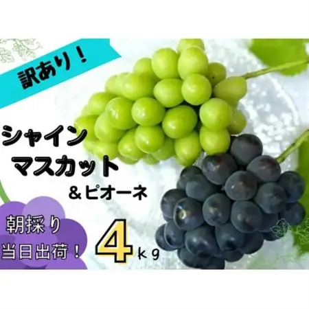 【2027年先行受付】訳あり岡山県産ぶどう詰合せ　4kg(シャインマスカット+ピオーネ)【配送不可地域：離島】【1633336】