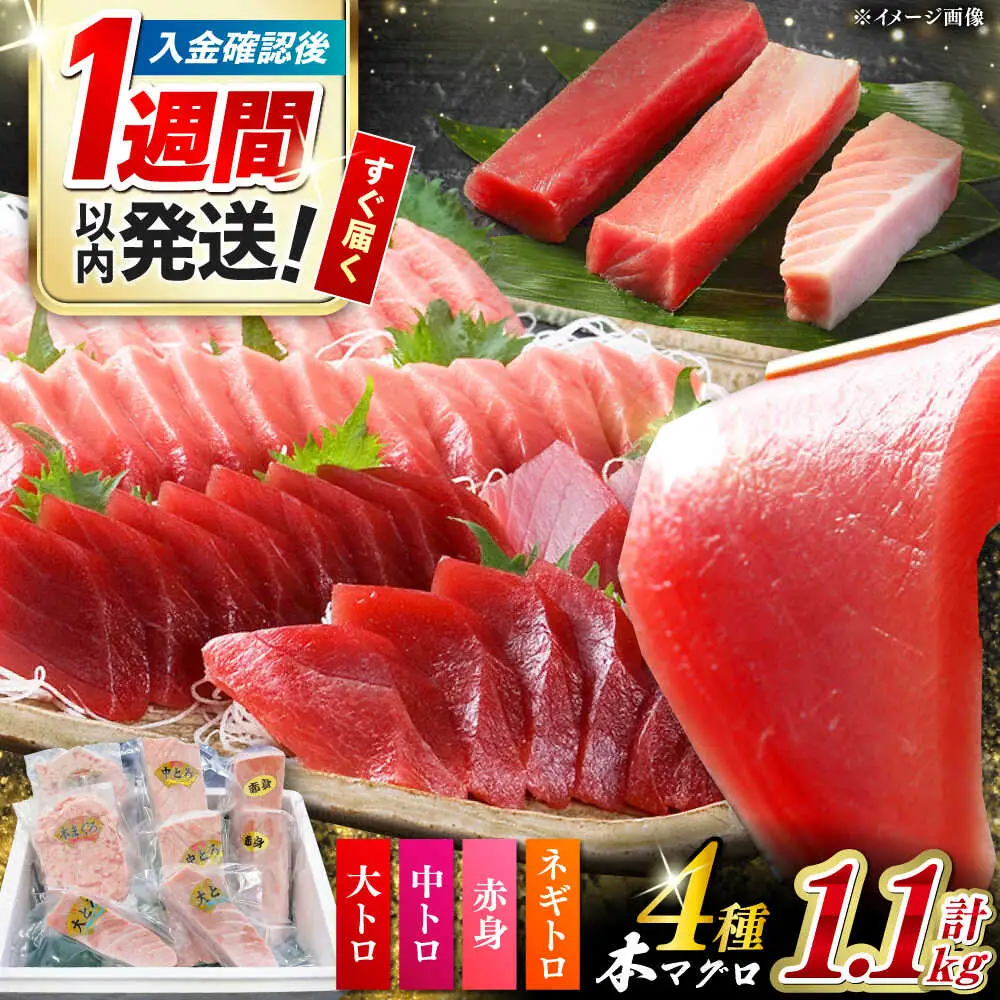 【1週間以内発送】対馬産 本マグロ 4種 計1.1kg（赤身/中トロ/大トロ/ネギトロ）[WAH028] マグロ トロ 中トロ スピード発送 最速発送 最短発送