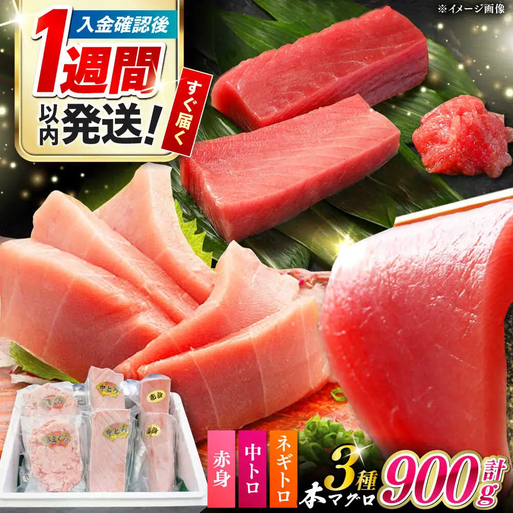 【1週間以内発送】対馬産 本マグロ 3種 計900g（赤身/中トロ/ネギトロ）[WAH029] まぐろ トロ ねぎとろ スピード発送 最速発送 最短発送