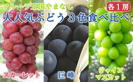 【2026年発送分】【数量限定】【フルーツ王国山梨】３色ぶどう食べ比べセット（巨峰・シャインマスカット・スカーレット 各１房・約２ｋｇ）　ぶどう 葡萄 ブドウ マスカット シャイン 赤ぶどう 黒ぶどう くだもの フルーツ 果物 食べ比べ お試し 山梨 やまなし 富士川町