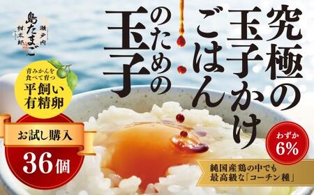 新鮮 卵【お試し夏季】瀬戸内柑太郎『島たまご』平飼い有精卵 36個(34個＋割れ補償2個)  平飼い 純国産鶏 コーチン種 たまご 佐木島 三原 広島 夏季 017071