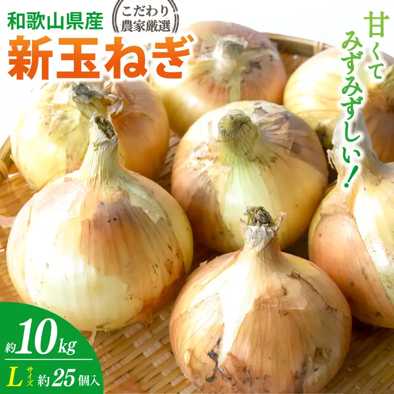 玉ねぎ 和歌山県産 新玉ねぎ 約10kg Lサイズ 約25個入り【kgr033】