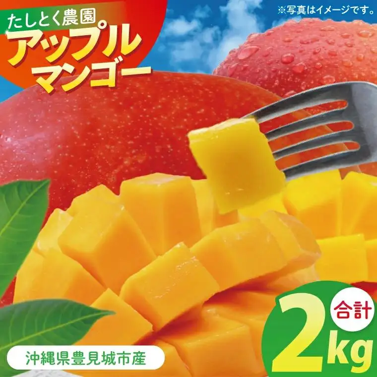 沖縄県豊見城市産アップルマンゴー 約2kg 