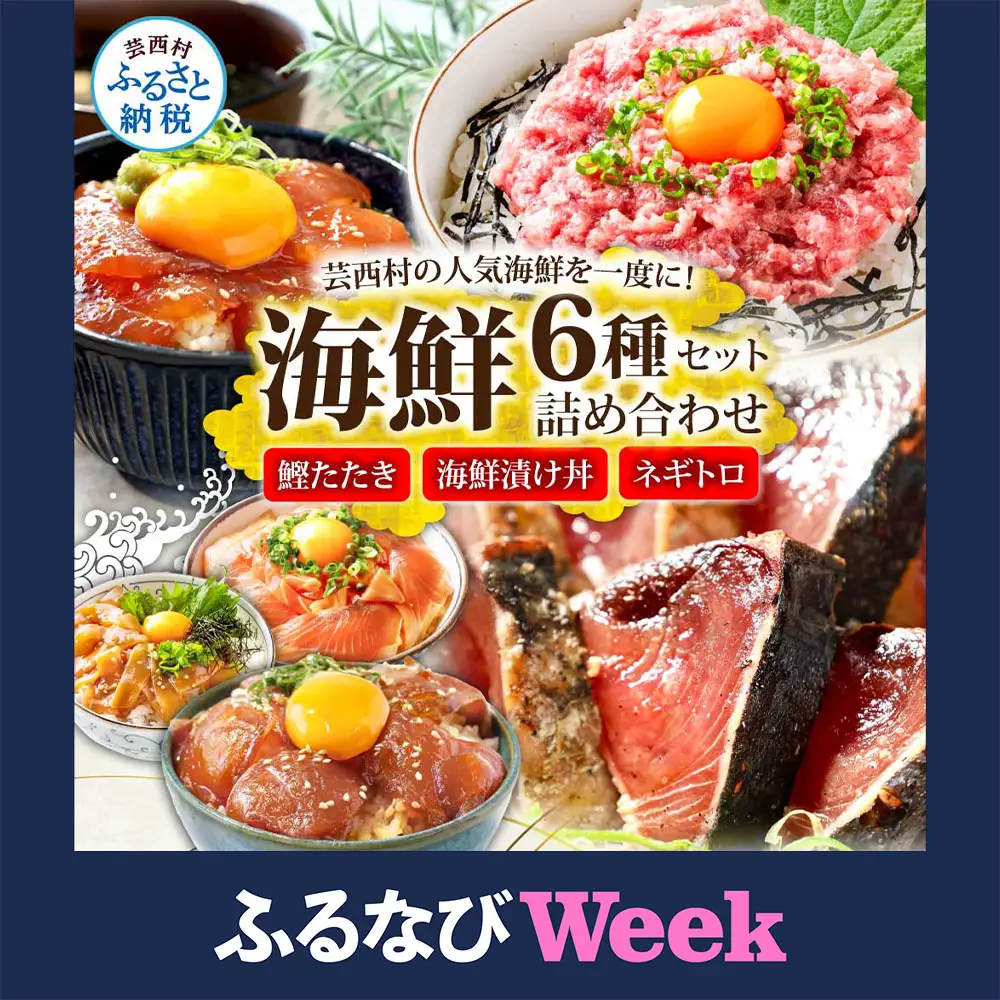 【ふるなびWEEK対象】かつおのたたき 600g ネギトロ 80gx2P 漬け丼 80g×4P 【海鮮セット】FN-Limited-WE
