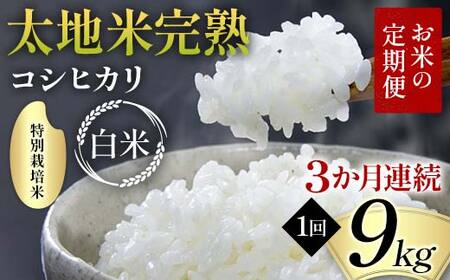【先行予約】お米の定期便 特別栽培米 太地米完熟 【こしひかり】 白米9kg×3か月連続 ブランド米 お米 精米 白米 人気 F7X-0708