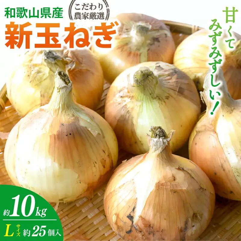 和歌山県産新玉ねぎ約10kg　Lサイズ 約25個入り　こだわり農家厳選！【2027年4月末頃〜2027年6月中旬にかけて順次発送】人気 おすすめ たまねぎ 玉ねぎ 玉葱 タマネギ オニオン スープ サラダ 国産 野菜 新鮮 ビッグサイズ 大きい BBQ【kgr033】