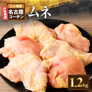 名古屋コーチン むね肉1.2kg大満足セット [001T11]