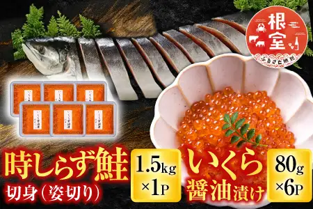 時しらず鮭1.5kg×1P・いくら醤油漬け80g×6P D-42067