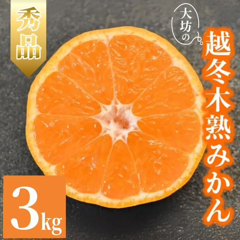 【2027年分先行予約】大坊の越冬木熟みかん 3kg ※2027年1月上旬～2月上旬頃に順次発送予定【期間限定・数量限定】【ymh021】  