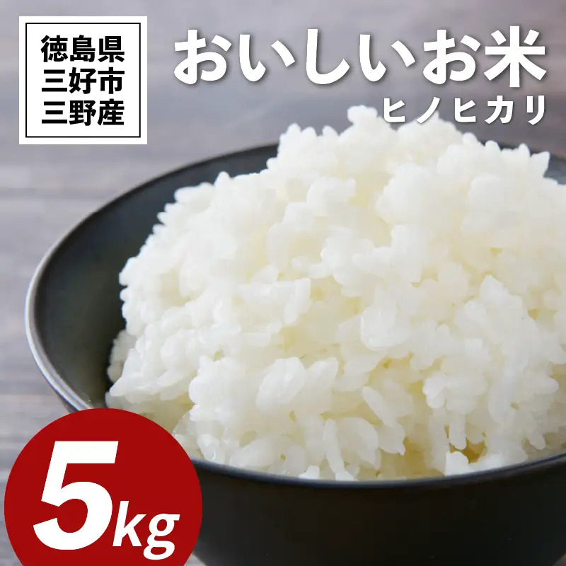 《 先行予約 》 白米 ヒノヒカリ 5kg 令和8年度 【 白米 】