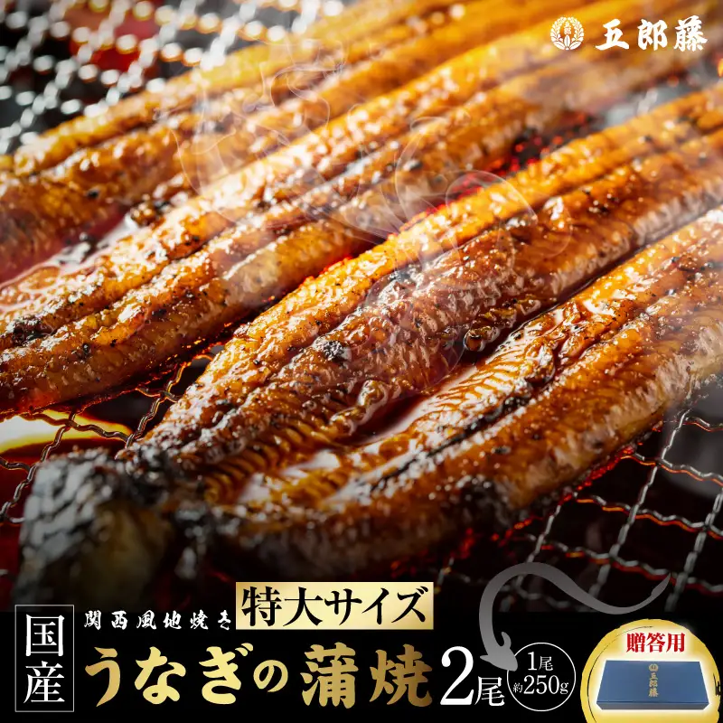 【贈答用】五郎藤 関西風地焼き 国産有頭旨鰻 250g×2尾 計約500g