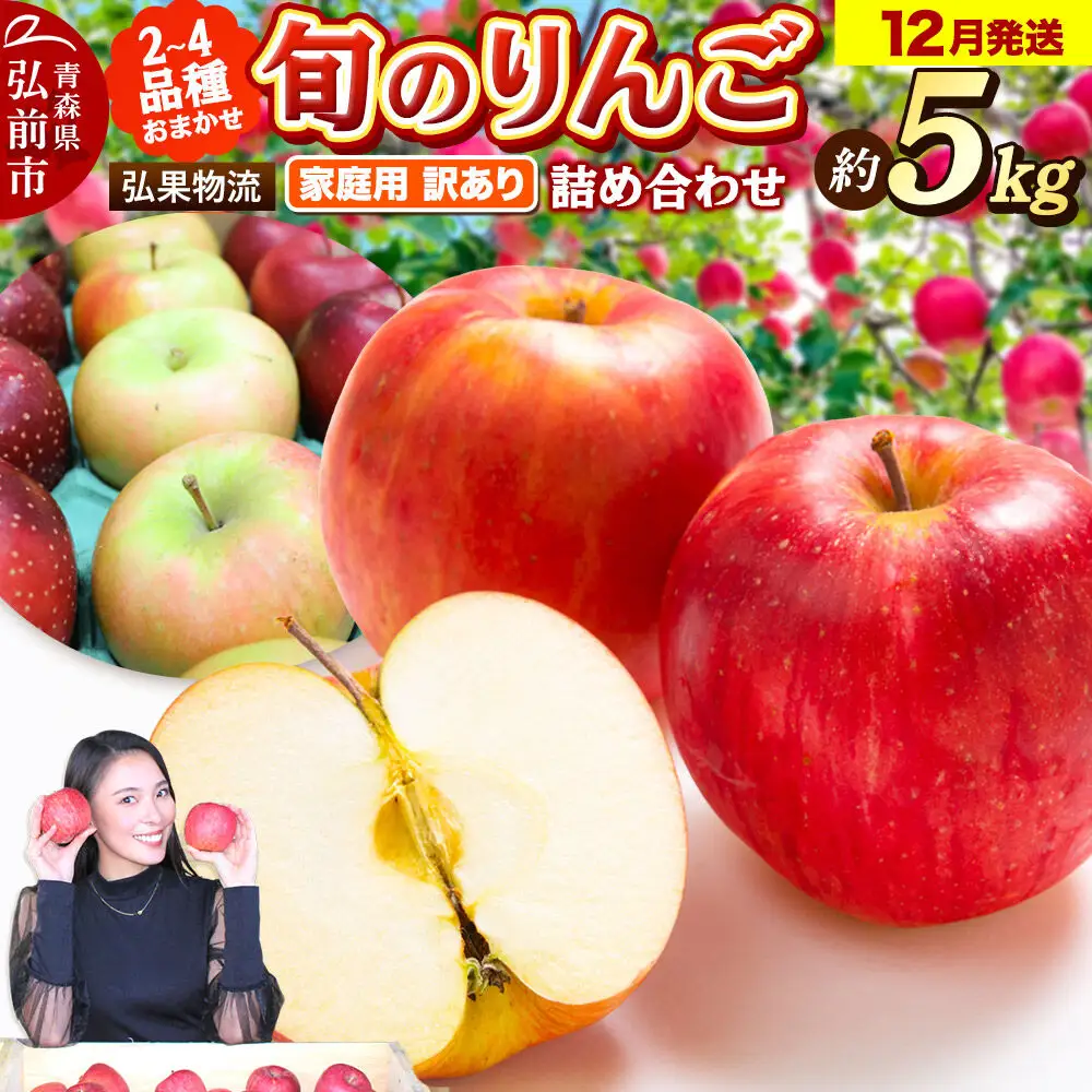 【26年12月発送】りんご 家庭用 訳あり 旬のりんご 品種おまかせ 約5kg 2品種～4品種