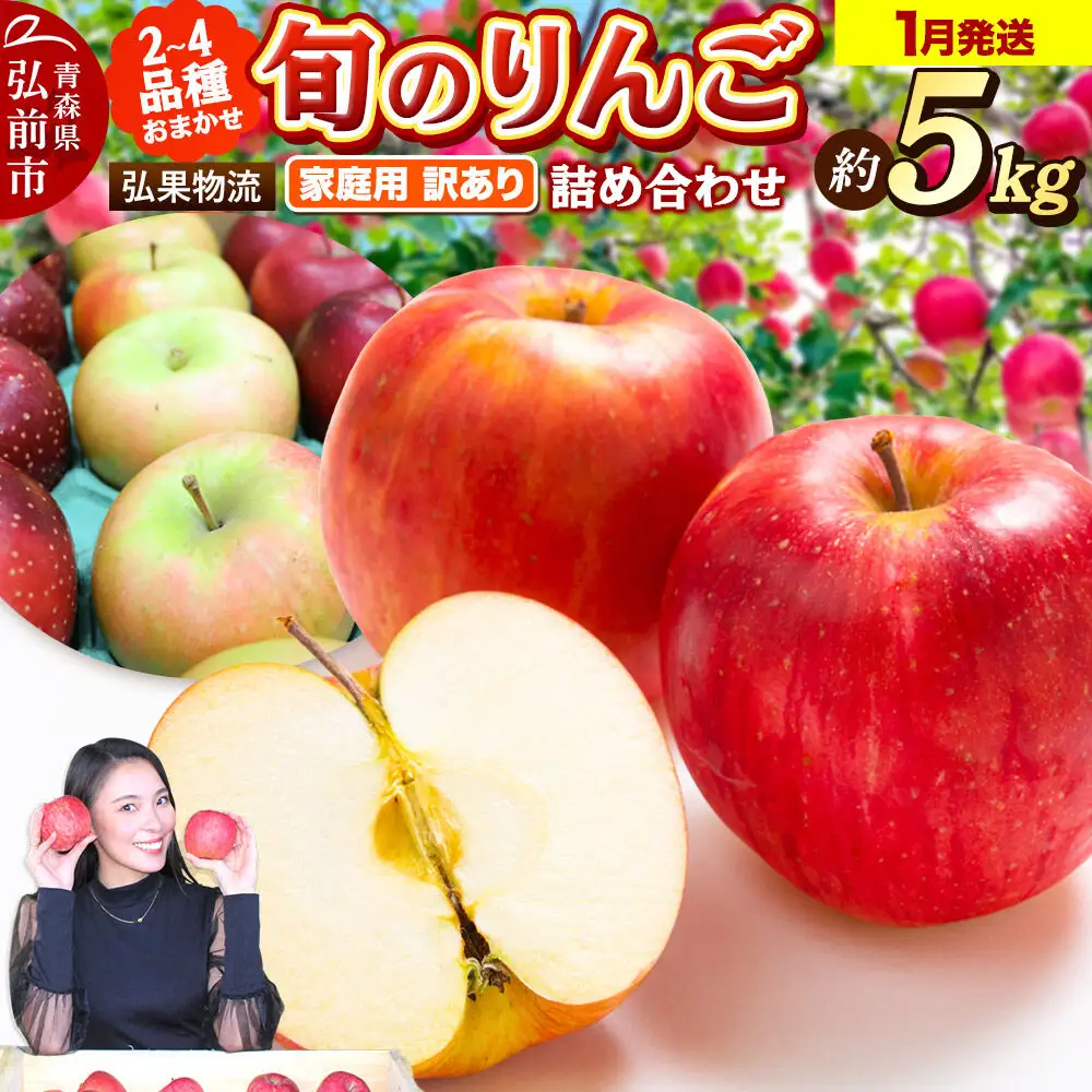 【27年1月発送】りんご 家庭用 訳あり 旬のりんご 品種おまかせ 約5kg 2品種～4品種
