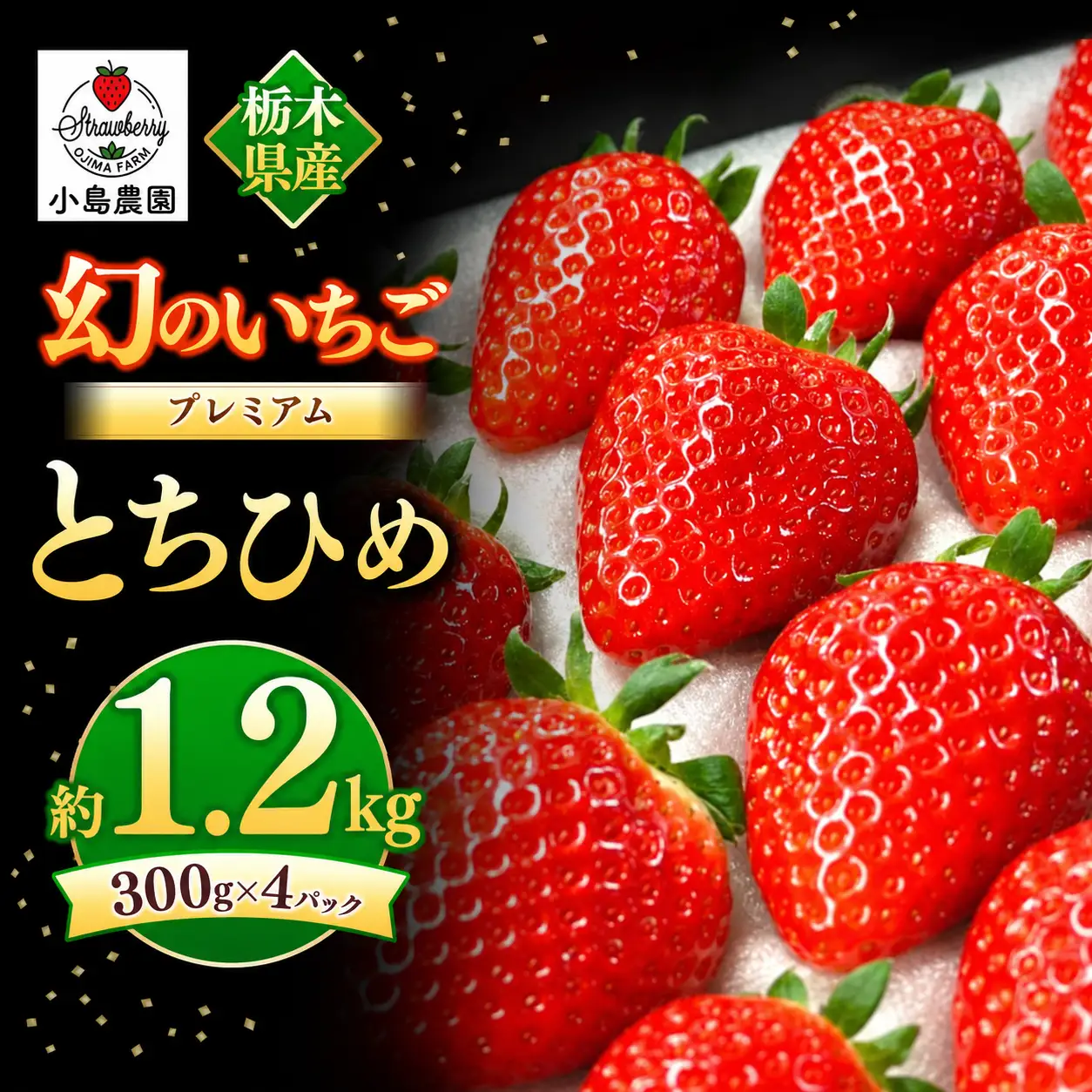 【2027年先行予約】幻のプレミアムいちご とちひめ 約1.2kg