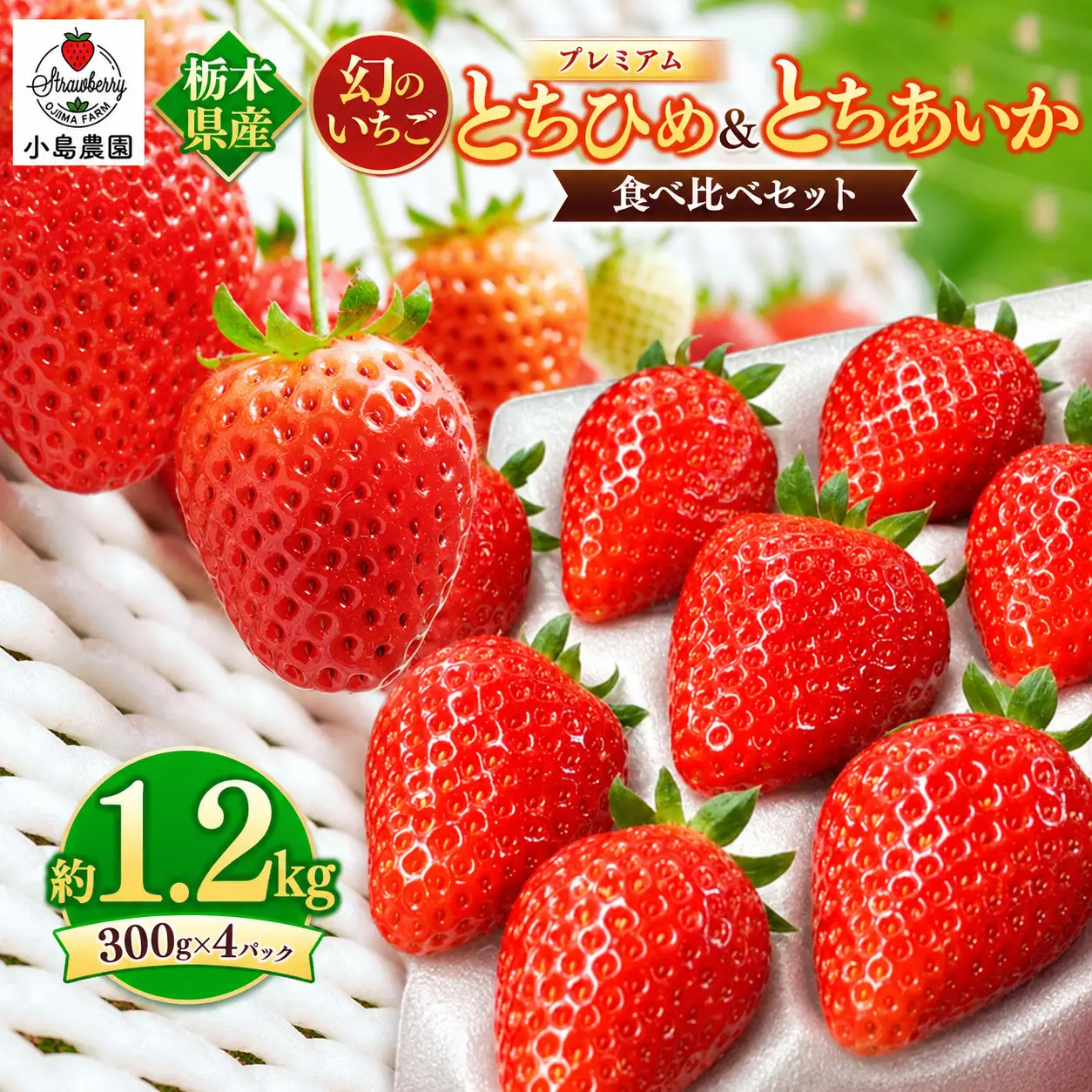 【2027年先行予約】とちひめ とちあいか 食べ比べ プレミアム 幻のいちご 約1.2kg
