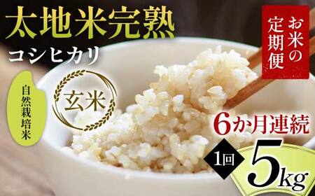 【先行予約】お米の定期便 自然栽培米 太地米完熟 【こしひかり】 玄米5kg×6か月連続 ブランド米 お米 人気 F7X-0769