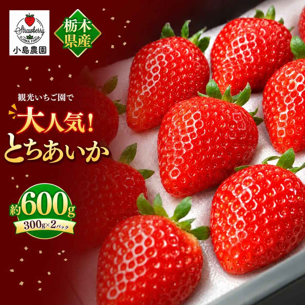 【2027年先行予約】観光農園で大人気！とちあいか 600g 