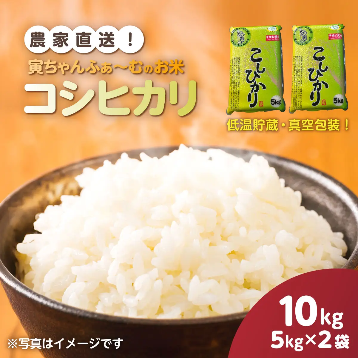 【先行予約2026年10月上旬から発送開始】コシヒカリ　10kg（5kg×2袋）令和8年産　 【 ふるさと納税 人気 おすすめ ランキング 米 精米 白米 お米 こしひかり コシヒカリ 千葉県 山武市 送料無料 】SMBX004