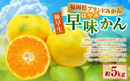 福岡県ブランドみかん「早味かん」5kg みかん オレンジ 果物 フルーツ 冷蔵 福岡県産 【2026年9月下旬-10月下旬発送予定】