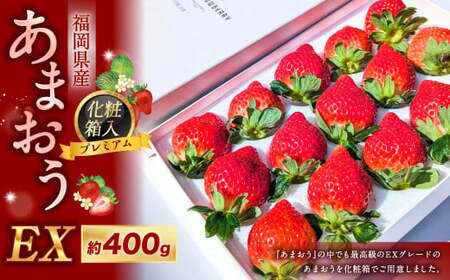 化粧箱入りプレミアムあまおう 約400g×1パック【ギフト・お祝い・贈答用】 あまおう いちご イチゴ 苺 果物 くだもの フルーツ【2027年2月上旬～2027年4月上旬発送予定】
