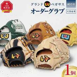 硬式用グランドペガサスオーダーグラブ 【 野球 グローブ 野球用品 オーダーメイド オーダー オーダーグローブ 北海道 旭川市 】_05058
