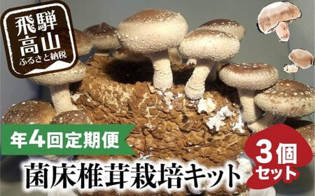 【2月発送開始】 定期便 菌床椎茸栽培キット 3個×全4回（2月・5月・10月・1月に発送）| しいたけ シイタケ 椎茸 栽培キット きのこ 栽培 菌床 しいたけ菌 椎茸菌 栽培ブロック 採れたて とれたて 夏休み 自由研究 園芸 食育 飛騨高山きのこの里 GK102VC02