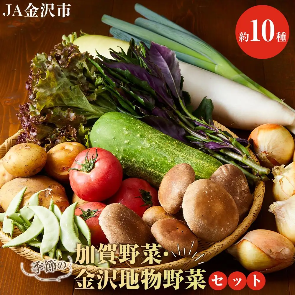 JA金沢市 季節の加賀野菜・金沢地物野菜セット 野菜詰め合わせ