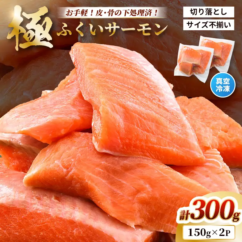【訳あり】ふくいサーモン切り落とし (生食用) 150g×2パック合計300g サイズ不揃い 【サーモン 鮭 しゃけ 切り落とし 生 冷凍】 [A-6234]