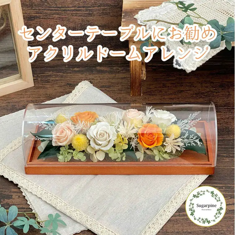 プリザーブドフラワー【シュクレ オレンジ】【埼玉県 春日部市 シュガーパイン フラワーギフト 誕生日プレゼント インテリア雑貨 テーブルフラワー オレンジアレンジ】(AJ257)