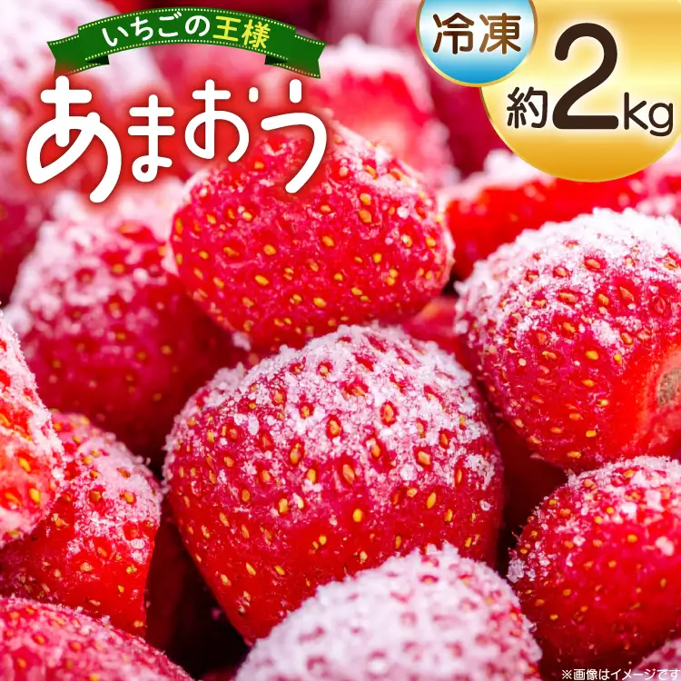 いちご 冷凍 あまおう 約2kg
