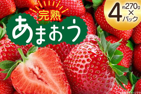 【期間限定発送】 いちご 完熟 あまおう 約270g 4p