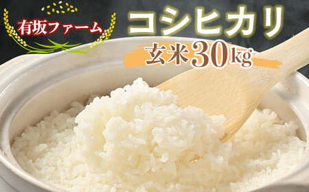 ≪先行受付≫有坂ファームの令和7年産コシヒカリ 玄米30kg