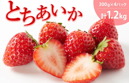 とちあいか（300g×4パック 計1.2kg）風袋入り ｜ 手作り 厳選 農家 特産品 新鮮 フレッシュ ストロベリー 苺 イチゴ 栃木県 塩谷町 ※2026年12月～発送