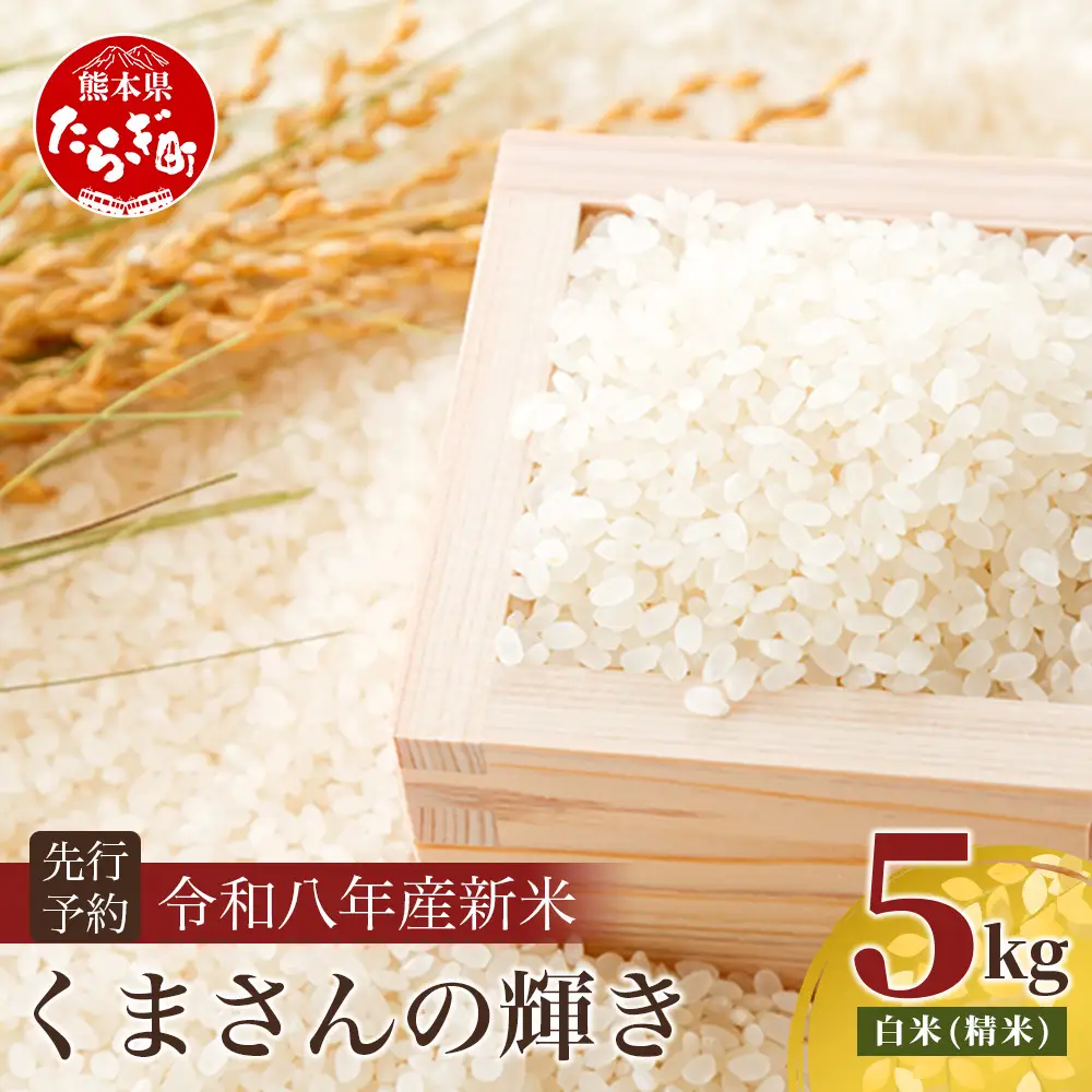令和8年産 新米 くまさんの輝き 5kg (令和8年10月中旬～発送) 精米・玄米選べる 熊本県産 お米 107-0701